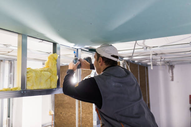 Best Geographic-Specific Insulation Services in Kings Park, VA